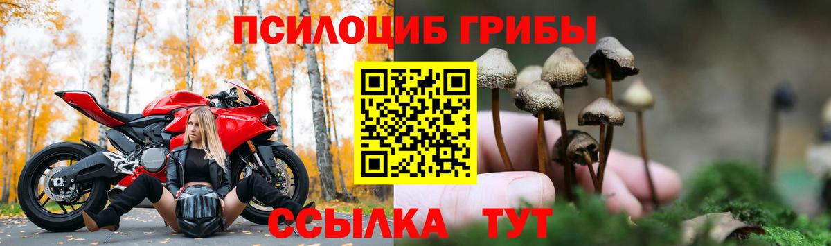 что такое   Вход с VPN  Шелехов  Галлюциногенные грибы MAGIC MUSHROOMS 